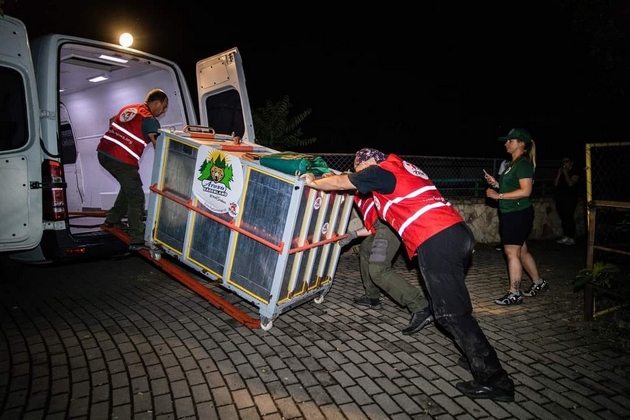 dve-mechki-od-skopje-zoo-isprateni-vo-rezervat-vo-shvajcarija-ostanatite-dve-kje-dobijat-pogolemo-i-poubavo-zhivealishte-foto12.jpg