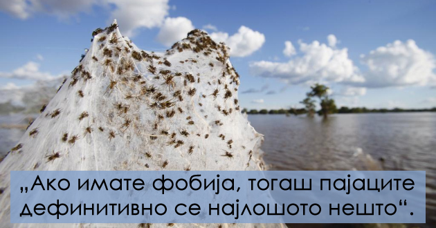 loshata-strana-na-zhivotot-vo-avstralija-spored-avstralijci-001.jpg
