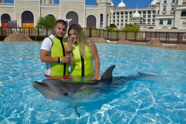 zaprosuvanje-na-devojka-od-shtip-pri-plivanje-so-delfini-vo-turcija-foto-07.jpg