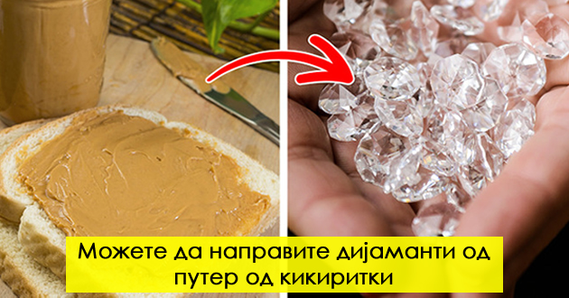 drvjata-komuniciraat-edni-so-drugi-i-ushte-9-fakti-shto-sigurni-ne-vi-gi-kazhale-na-uchilishte-01.jpg