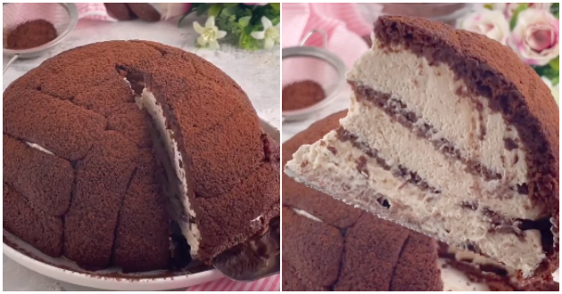kje-barate-ushte-edno-parche-redena-sladoled-torta-so-biskviti-potopeni-vo-kafe-ili-kakao-01.jpg