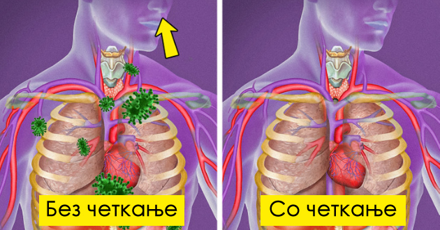 zoshto-nautro-treba-da-go-chetkate-i-jazikot-01.jpg