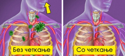 zoshto-nautro-treba-da-go-chetkate-i-jazikot-povekje.jpg