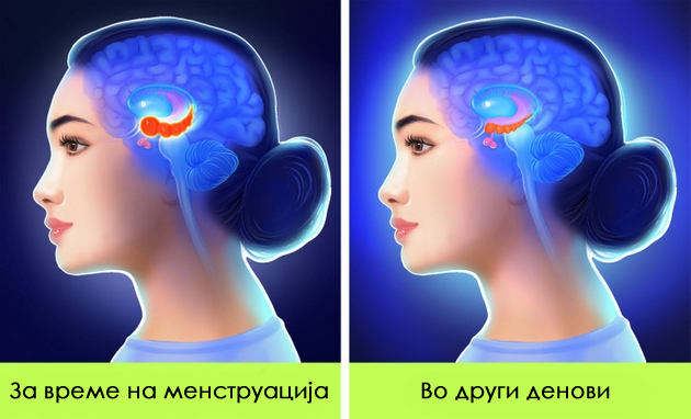 6-neochekuvani-promeni-vo-zhenskiot-organizam-shto-se-sluchuvaat-za-vreme-na-mesechen-ciklus-02.jpg