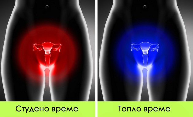 6-neochekuvani-promeni-vo-zhenskiot-organizam-shto-se-sluchuvaat-za-vreme-na-mesechen-ciklus-07.jpg