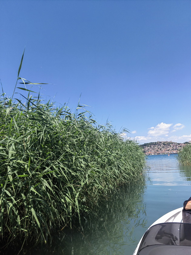 bev-so-ohrid-so-gliser-krstarev-po-krajbrezhjeto-javav-konji-go-posetiv-magichniot-manastir-zaum-besceneto-iskustvo-08.jpg