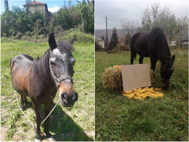 miki-markoski-raboti-na-ranch-so-konji-vo-ljubanishta-begav-od-uchilishte-za-da-minuvam-vreme-so-mojot-konj-002.jpg