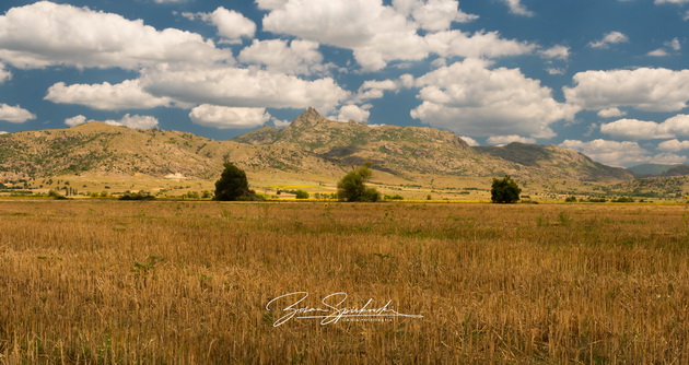 nadrealna-ubavina-nedogledni-polinja-sonchogledi-megju-prilep-i-makedonski-brod-foto-06.jpg