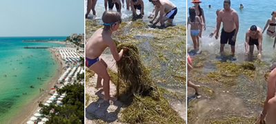 odish-na-more-za-da-sobirash-seno-komentari-za-video-vo-koe-makedonski-i-srpski-turisti-vo-grcija-sami-ja-chistat-plazhata-video-povekje-01.jpg