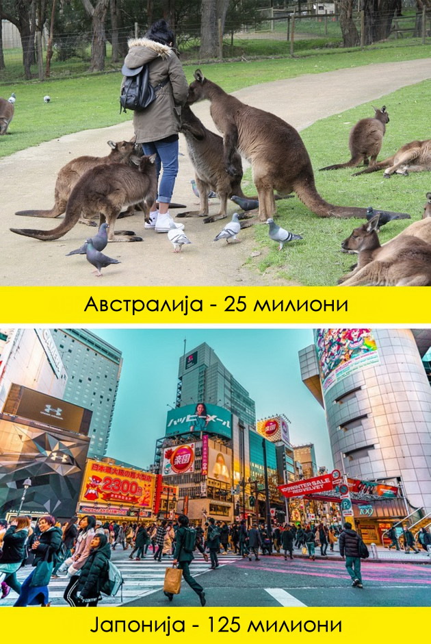 10-zabavni-geografski-fakti-shto-kje-vi-ja-promenat-perspektivata-za-zemjata08.jpg