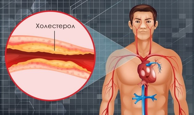 koi-se-pridobivkite-od-jadenjeto-oves-i-kako-najlesno-da-go-vmetnete-vo-sekojdnevnata-ishrana-002.jpg