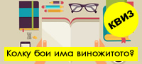 kviz-proverete-dali-ste-seznajkoto-vo-drushtvoto-so-10-opshti-prashanja-povekje.jpg