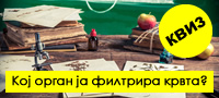 viz-10-teshki-prashanja-shto-kje-gi-odgovorite-samo-ako-ste-imale-5-ka-po-biologija-povekje.jpg