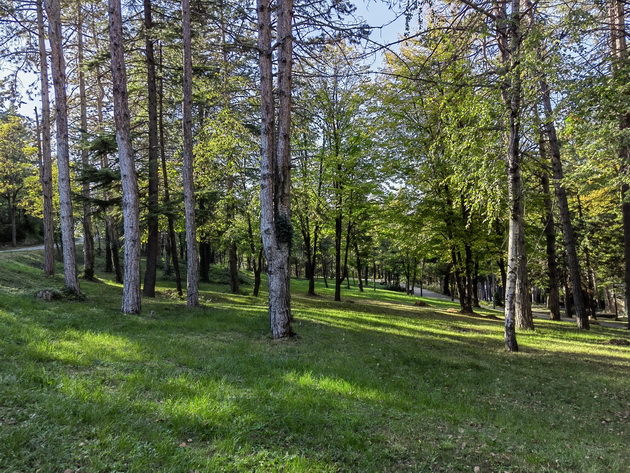 bev-vo-kavadarci-me-precheka-sovrshen-park-chist-grad-lugje-so-najtopli-nasmevki-i-najubavi-prikazni-16.jpg