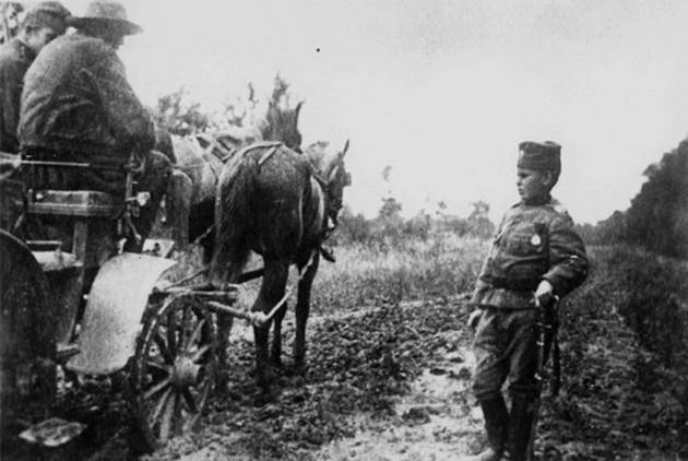 na-8-godini-stanal-del-od-srpskata-vojska-bil-ranet-vo-prvata-svetska-vojna-prikaznata-za-momchilo-gavrikj-najmladiot-podnarednik-vo-svetot-07.jpg