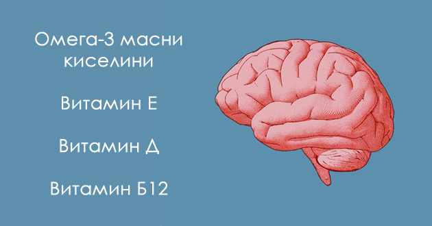 omega-3-masni-kiselini-i-3-vitamini-koi-se-kluchni-za-zdravjeto-na-mozokot-01.jpg