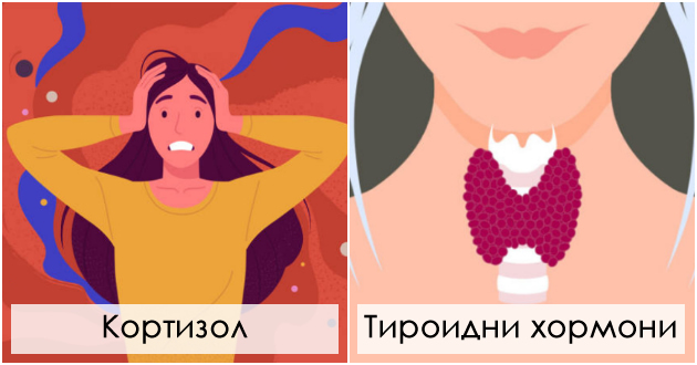 kluchni-hormoni-koi-vlijaat-na-vasheto-libido-i-kako-funkcioniraat=-1.jpg