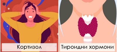 kluchni-hormoni-koi-vlijaat-na-vasheto-libido-i-kako-funkcioniraat-povekje.jpg