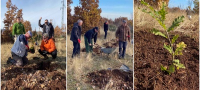 skopskite-badnikari-zasadija-30-mladi-stebla-dab-po-povod-30-godini-postoenje--povekje.jpg