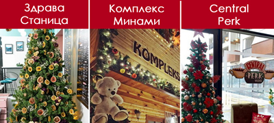 elka-so-portokali-katche-kako-doma-najubavo-novogodishno-ukrasenite-lokali-niz-makedonija-foto-01povekje.jpg