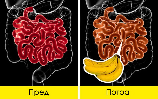 shto-kje-se-sluchi-so-vasheto-zdravje-ako-sekoj-den-jadete-po-edna-banana-10.jpg