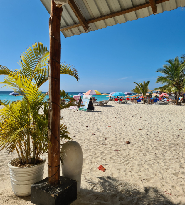 zanzibar egzoticna destinacija sto sekoj treba da ja poseti barem ednash vo zivotot 11