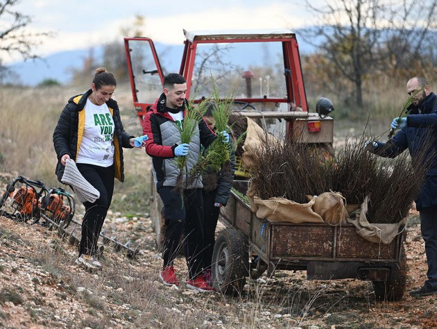 zasadeni-40-000-drvja-kako-rezultat-na-golemata-akcija-za-poshumuvanje-na-shumskite-nasadi-soncheva-gora-08.jpg