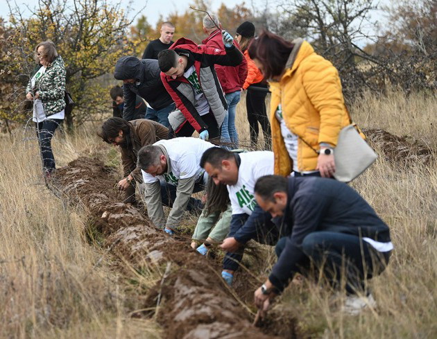 zasadeni-40-000-drvja-kako-rezultat-na-golemata-akcija-za-poshumuvanje-na-shumskite-nasadi-soncheva-gora-11.jpg