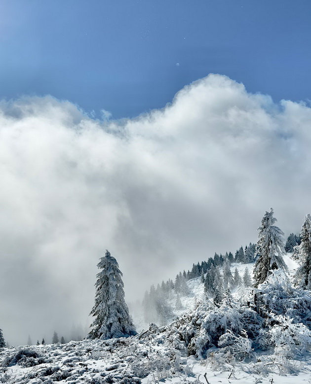 viktorija-loba-so-soprugot-na-skijanje-na-kopaonik-foto-12.jpg