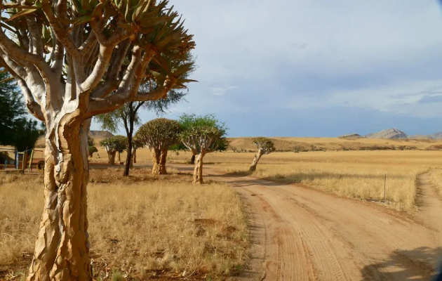 aleksandar markoski patuvav 53 dena niz afrika kampuvavme vo satori patuvavme so kamping avtobus bev na safari i se vrativ so mnogu momenti za pametenje 1