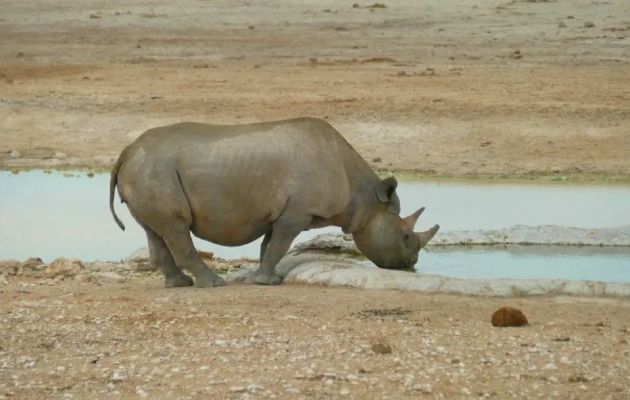 aleksandar markoski patuvav 53 dena niz afrika kampuvavme vo satori patuvavme so kamping avtobus bev na safari i se vrativ so mnogu momenti za pametenje 17