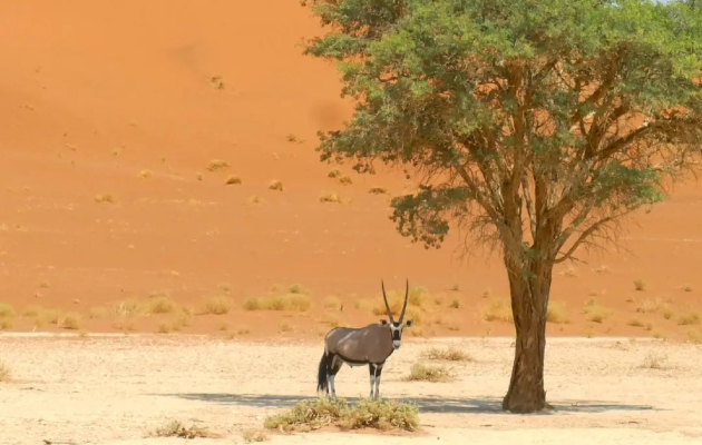 aleksandar markoski patuvav 53 dena niz afrika kampuvavme vo satori patuvavme so kamping avtobus bev na safari i se vrativ so mnogu momenti za pametenje 3