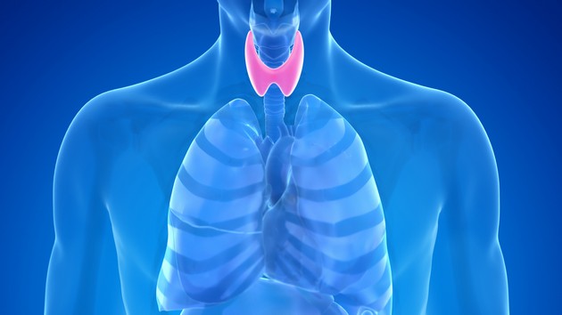 zoshto-se-javuva-hipertiroidizam-ili-zgolemena-aktivnost-na-tiroidnata-zhlezda-i-koi-se-najchestite-simptomi-02.jpg