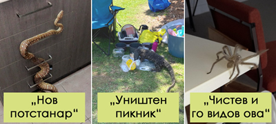 13-foto-dokazi-deka-zhivotot-vo-avstralija-mozhe-da-bide-kako-horor-film-sekojdnevni-raboti-so-koi-se-soochuvaat-povekje-1.jpg