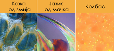 13-foto-dokazi-kolku-chudno-izgledaat-obichnite-raboti-pod-mikroskop-01povekje.jpg