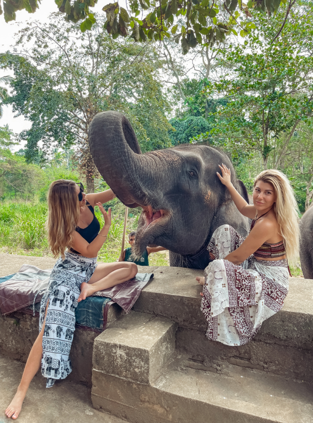 meri janevska siropitaliste za slonovi mi beshe edno 0d najubavite mesta vo sri lanka a patuvawet so voz e magnet za site turist 12