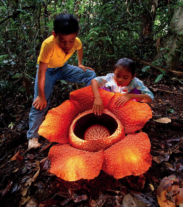 vo-singapur-e-zabraneta-prodazhbata-na-mastiki-vo-vietnam-site-slavat-rodenden-vo-ist-den-12-interesni-fakti-za-azija-shto-ne-ste-gi-znaele-07.jpg