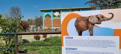 credissimo-so-donacija-za-zoo-skopje-obnoveni-informativnite-tablichki-za-zhivotnite-povekje.jpg