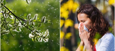 dali-narodnite-lekovi-se-efikasni-za-sezonski-alergii-i-kako-da-gi-namalite-simptomite-povekje.jpg