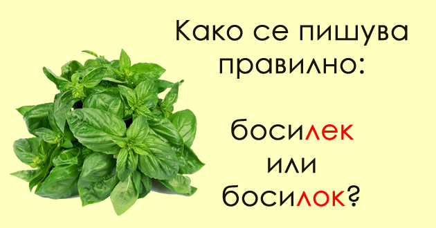kulinarski-pravopis-testirajte-se-niz-10-primeri-kolku-dobro-gi-poznavate-iminjata-na-produktite-01.jpg