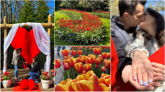 romantichno-zaprosuvanje-na-makedonka-vo-rajskata-gradina-na-lalinjata-keukenhof-vo-amsteredam-foto-01.jpg