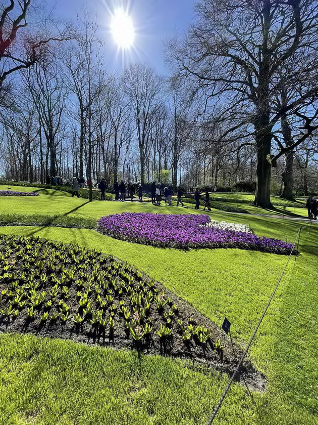 romantichno-zaprosuvanje-na-makedonka-vo-rajskata-gradina-na-lalinjata-keukenhof-vo-amsteredam-foto-02.jpg