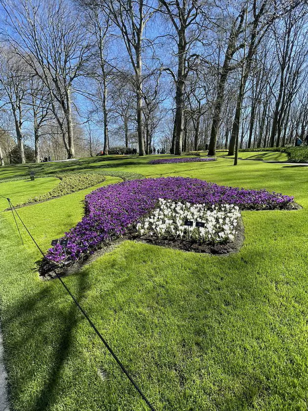 romantichno-zaprosuvanje-na-makedonka-vo-rajskata-gradina-na-lalinjata-keukenhof-vo-amsteredam-foto-05.jpg