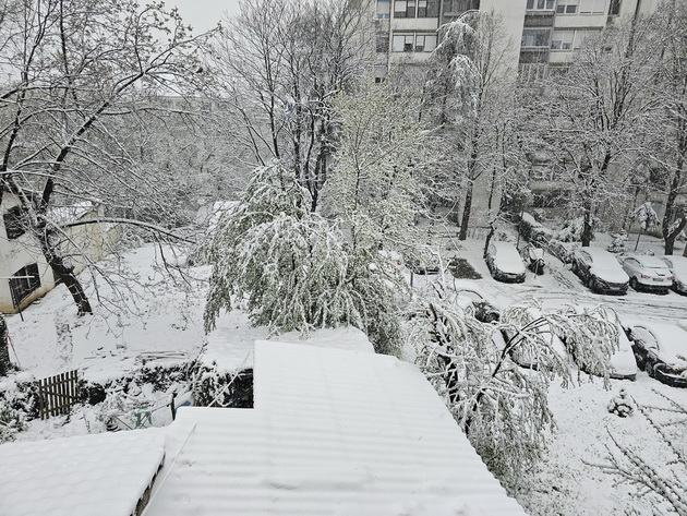 snegot-se-ushte-vee-belgrad-se-razbudi-pod-snezhna-prekrivka-makedonec-ni-ja-dolovuva-atmosferata-ottamu-03.jpg