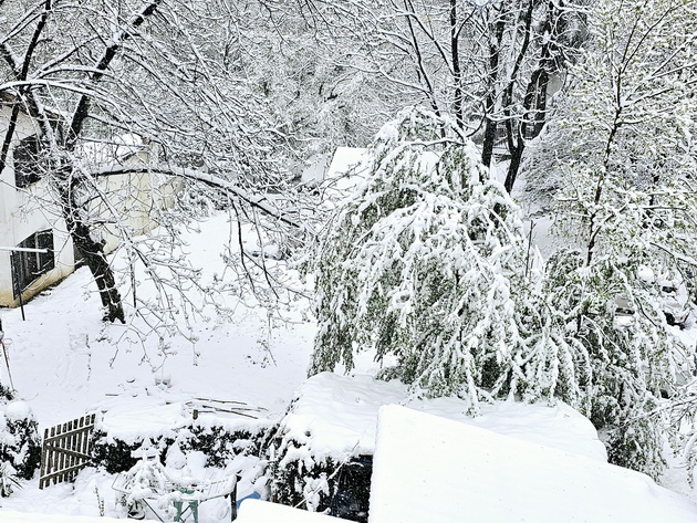 snegot-se-ushte-vee-belgrad-se-razbudi-pod-snezhna-prekrivka-makedonec-ni-ja-dolovuva-atmosferata-ottamu-07.jpg