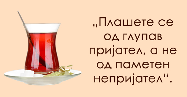 drvoto-se-vitka-dodeka-e-ushte-mlado-10-odlichni-turski-pogovorki-01_copy.jpg
