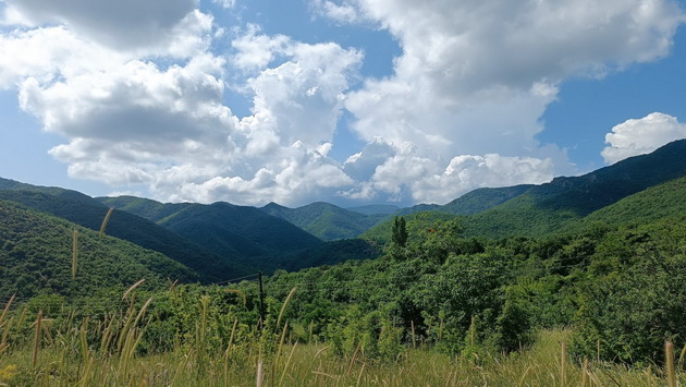 ne-e-meksiko-depir-kapija-e-dolinata-na-kaktusite-e-redok-priroden-fenomen-vo-makedonija-foto-08.jpg