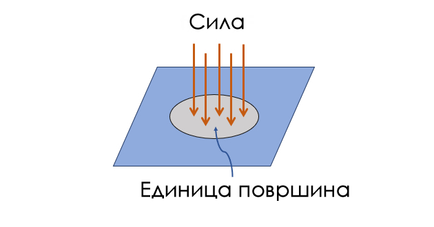 belite-drobovi-otkazhuvaat-organite-se-unishtuvaat-shto-se-sluchuva-so-teloto-na-golemi-dlabochini-0.jpg