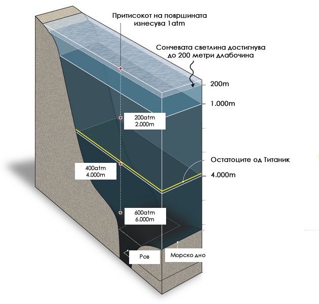 belite-drobovi-otkazhuvaat-organite-se-unishtuvaat-shto-se-sluchuva-so-teloto-na-golemi-dlabochini-04.jpg