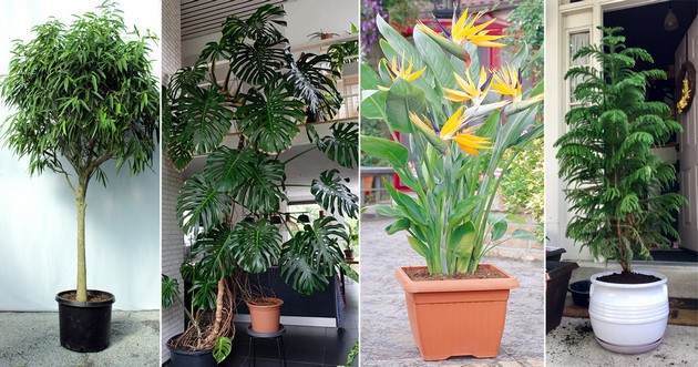 kako-da-go-napravite-maliot-balkon-vizuelno-pogolem-spored-dizajneri-na-enterier-04.jpg